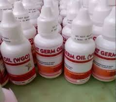 Blackthroat jantan mempunyai paruh tebal, blackthroat betina mempunyai paruh tidak tebal. Wa 085 879 835 356 Vitamin Blackthroat Vitamin Buat Blackthroat Vitamin Burung Blackthroat By Vitamin Lovebird Medium