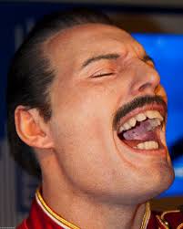 We all know that freddie mercury had very strange teeth, said rudi dolezal, an austrian tv icon who made documentaries about the star. Freddie Mercury Teeth Google Search Queen Freddie Mercury Freddie Mercury Teeth Freddie Mercury