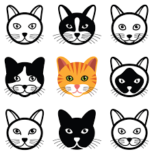 How To Draw A Cartoon Cat Face Step By Step Cat Animal Cartoon Face Icon Collection In 2020 Cat Face Drawing Drawing Cartoon Faces Cat Face