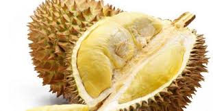 Image result for 榴槤