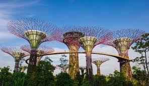 A large part of gardens by the bay, including the supertree grove, heritage gardens, sun pavilion, and lakes, can be enjoyed for free. Gardens By The Bay Singapore Travel Guide Marina Bay Sands