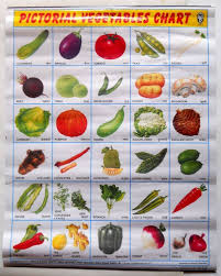 india vintage school chart poster print pictorial vegetables