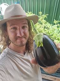 Q: does anyone know what fruit