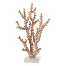Discover more posts about koralle. Deko Koralle Apricot Creme Weiss Online Kaufen Mobel Martin