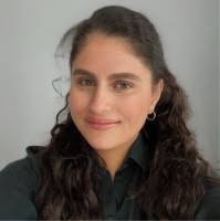 200+ "Dimauro" profiles