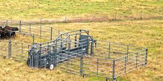 Rawhide Portable Corral Leading The Way In Portable Corral Innovation Cattle Corrals Cattle Ranching Cattle