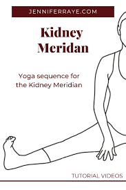 Yin Yoga Sequence For The Kidney Meridian Jennifer Raye Medicine And Movement Yin Yoga Sequence Yin Yoga Poses Yin Yoga