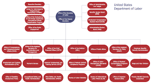 Organizational Chart Software Download Conceptdraw Free To