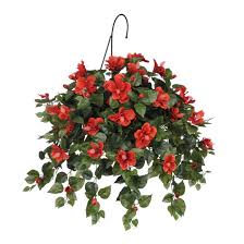 What flowering plant is this? House Of Hampton Faux Hibiscus Trailing Hanging Flowering Plant In Planter Reviews Wayfair
