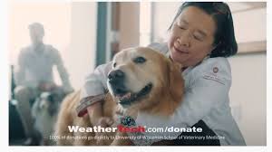 Visit one of the ups store locations in madison, wisconsin to professionally pack and ship all of your valuable items, copy and print important documents or marketing materials, and open a personal or business mailbox. Petco Donates 250 000 To Uw School Of Veterinary Medicine Wluk