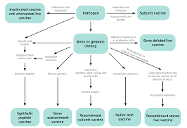 Animal studies related to mrna vaccines were definitely difficult to read and analyze. Shimadzu Solutions For Vaccine Testing