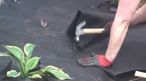 We did not find results for: Installing Landscape Fabric Youtube