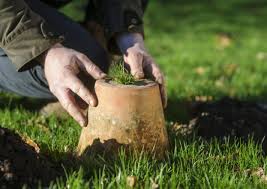 We did not find results for: Get Rid Of Moles Not So Fast The English Garden