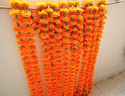 Get your swimsuits ready and brace yourselves because the most amazing. Craffair Orange Artificial Tagetes Flower Marigold Strings For Wedding Decorations Or Party Decoration Indian Event Decor Home Decor Beach Party Decor Buy Online In Greenland At Greenland Desertcart Com Productid 66806334