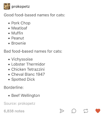 One thing is for sure: Food Based Names For Cats