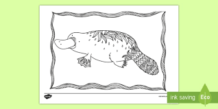 Keeping kids busy since ages ago. Platypus Mindfulness Colouring Page Teacher Made