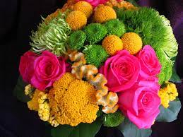 Craspedia Flower Essence Best Flower Wallpaper
