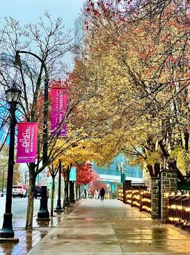 Fall visits reveal true neighborhood activity levels, local business vibrancy, and community life., AI generated
