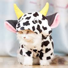 Cow Moo Costume For Cats And Dogs Cow Cat Cat Clothes Pet Costumes