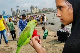 southasiaarchive) · Instagram 照片和视频