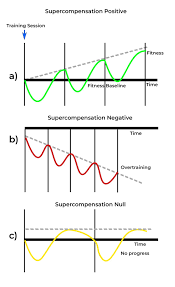 Image result for training effect schema