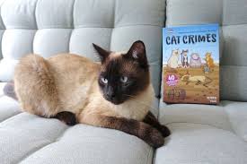 Gewinnspiel Cat Crimes Brettspiel Fur Kleine Detektive Toyger Katze Echte Katzen Mehrere Katzen