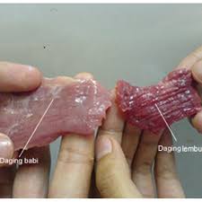 Check spelling or type a new query. Gambar Jangan Terpedaya Inilah 5 Perbezaan Daging Lembu Babi