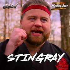 Do you like or dislike Stingray? #CobraKai #CobraKaiSeason6 #KarateKid  #Netflix