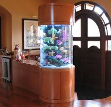 Maybe you would like to learn more about one of these? Fish Tank Designs For Small Living Room Novocom Top