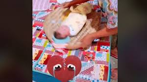 Ritual satu ini bertujuan untuk memohon keselamatan dan perlindungan untuk bayi yang baru lahir. Viral Acara Tradisi Bayi Digebrak Dan Diputar Putar Warganet Bisa Sekarat Berita Hits