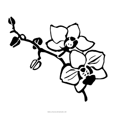 Includes images of baby animals, flowers, rain showers, and more. Orchid Coloring Page Ultra Coloring Pages