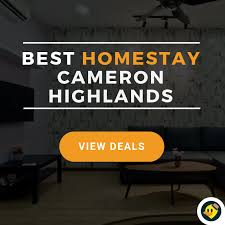 (r̶m̶ ̶1̶0̶0̶) book cameron highlands best homestay, budget hotel, resort, chalet and villa. Hotel Murah Cameron Highland Rm50 Best Last Minute Travel Deals