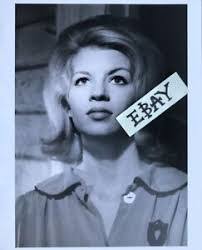 Lorna Maitland's Instagram, Twitter & Facebook