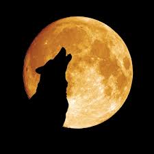 Maybe you would like to learn more about one of these? Why Do Dogs Howl Why Dogs Howl Live Science