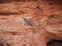 Check spelling or type a new query. Mill Canyon Dinosaur Trail Moab Utah Happiness Travels Here
