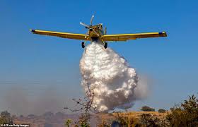 Devastation has swept across cyprus as the most destructive forest fires in the island's history burned down houses and scorched the landscape. T85fg2jvjfikwm