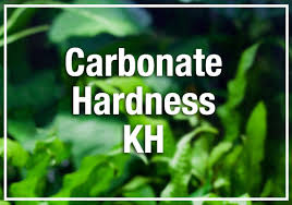 Beginners Guide To Aquarium Carbonate Hardness Kh