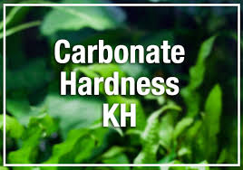 beginners guide to aquarium carbonate hardness kh