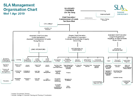 Organisation Chart