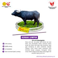 4 simbol yang mengarah ke kiri atau ke kanan. Agrindotrade
