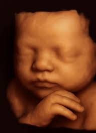 Fathers and Daughters Resemblance