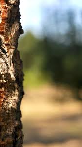 prima volta chiamate su whatsapp porca megaescort - escort margherita di  savoia