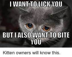 I Want To Lick You Memes