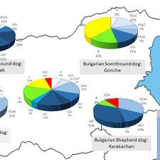 Body visualizer tiktok meme, ideal body, the ideal body throughout history. Peter Hristov Assoc Prof Phd Bulgarian Academy Of Sciences Sofia Bas Institute Of Biodiversity And Ecosystem Research
