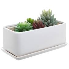 To stop your window boxes falling off, always make sure they're secured. 10 Inch Rectangular Modern Minimalist White Ceramic Succulent Planter Pot Window Box With Saucer Amazon Ae Patio Lawn Garden