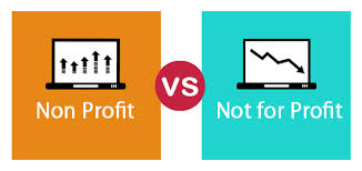 Non Profit Vs Not For Profit Top 10 Differences With