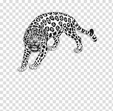 Amazon Rainforest Draw Anything Pencil Drawings Step By Step Pencil Drawing Ideas For Absolute Beginners Coloring Book Black Leopard Transparent Background Png Clipart Hiclipart A list of 100+ original drawing ideas from artistro.