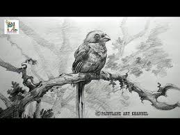 Easy Simple Bird On Branch Drawing Learn Shading A Bird With Very Easy Pencil Strokes How To Draw A Bird Drawing Youtube Bird Drawings Robin Drawing Owls Drawing