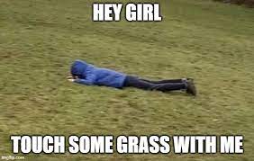You Need To Touch Some Grass Tommyinnit