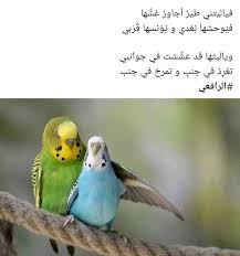 Pin By Fouz Eissa On التحفيز Love Quotes For Her Romantic Quotes Arabic Love Quotes